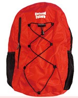 ディフェンドフューチャー